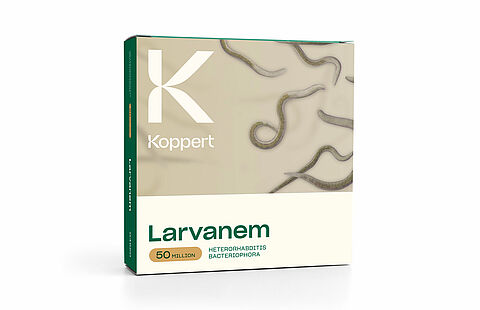 September promomaand voor Larvanem