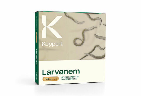 September promomaand voor Larvanem