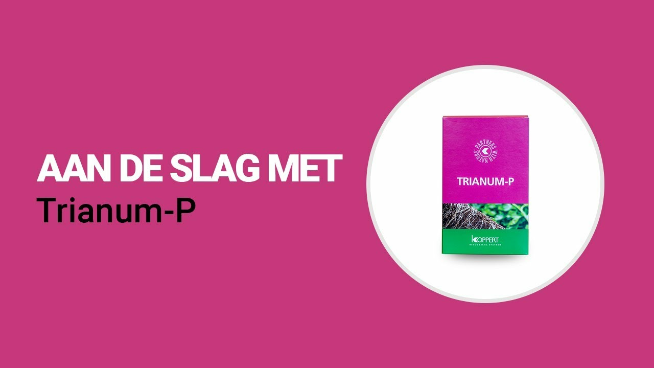 Aan de slag met Trianum-P van Koppert