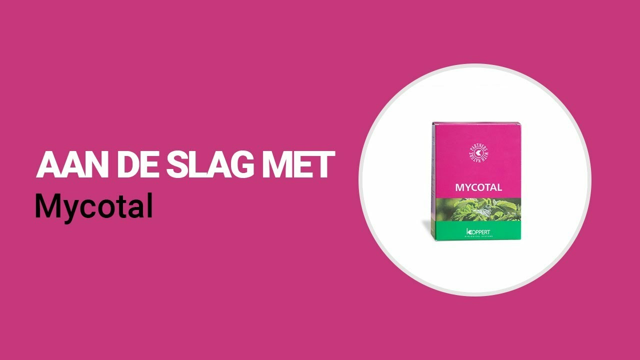 Aan de slag met Mycotal van Koppert