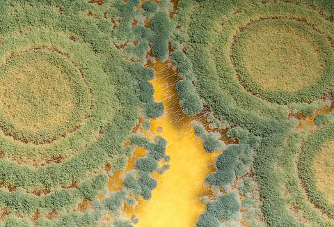 Trianum: uw (gegronde) fundering voor een gezonde teelt