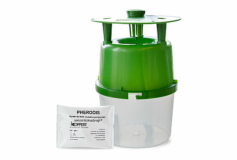 Buxatrap en Capsanem: een ideale en effectieve combinatie voor controle buxusmot