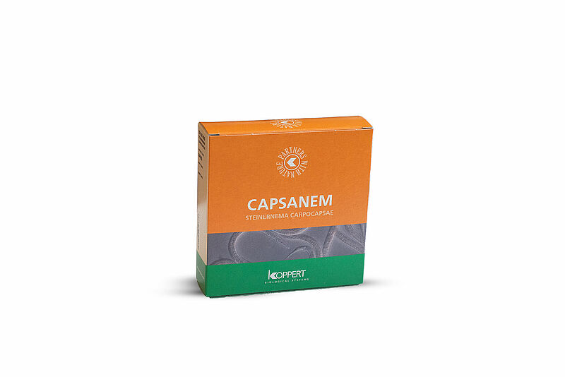 Capsanem_Koppert_BIological_Systems-2.jpg