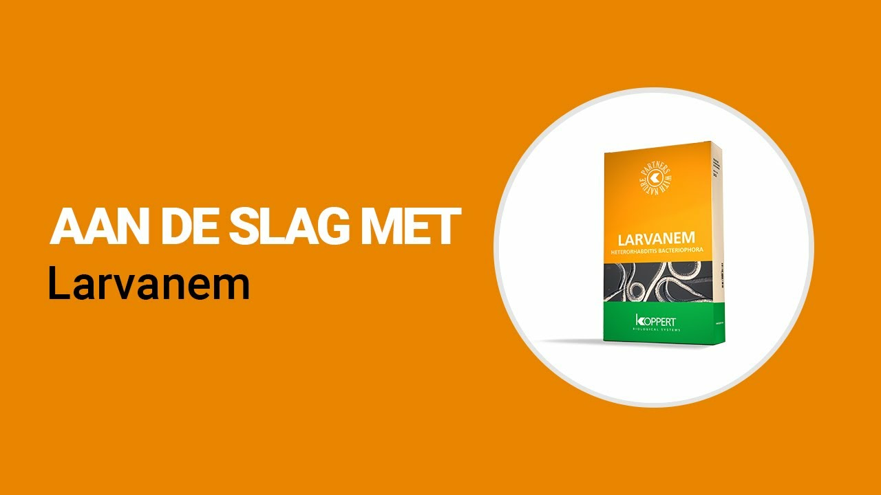 Aan de slag met Larvanem van Koppert