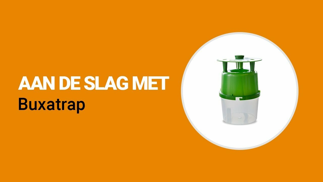 Aan de slag met Buxatrap van Koppert