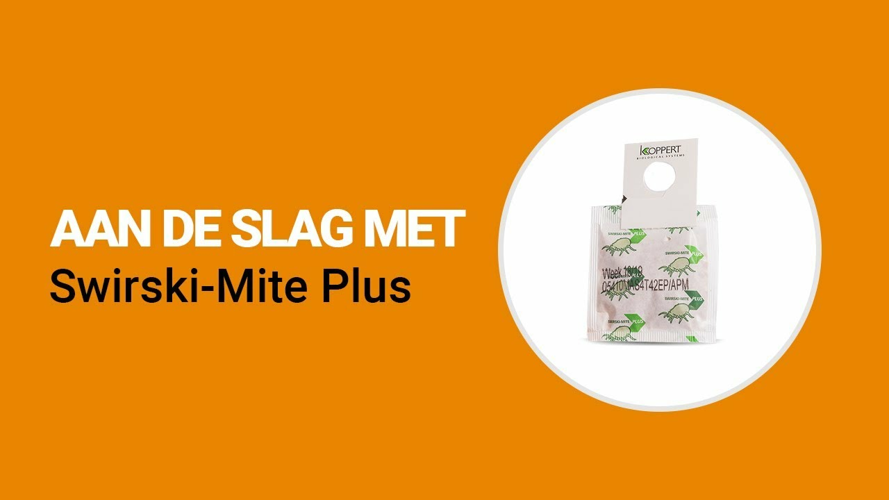 Aan de slag met Swirski-Mite Plus van Koppert