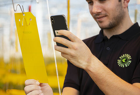 Tomatentelers aan de slag met Natutec Scout