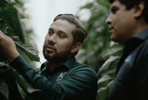 La Hacienda Fresh verhoogt de winstgevendheid van gewassen dankzij biologische bestrijding