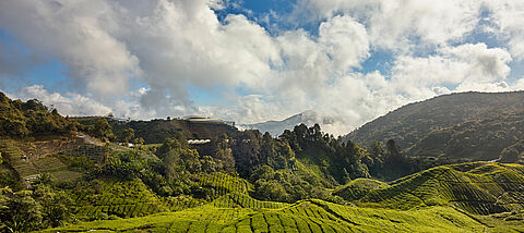 Wereldmilieudag – herstel van ecosystemen