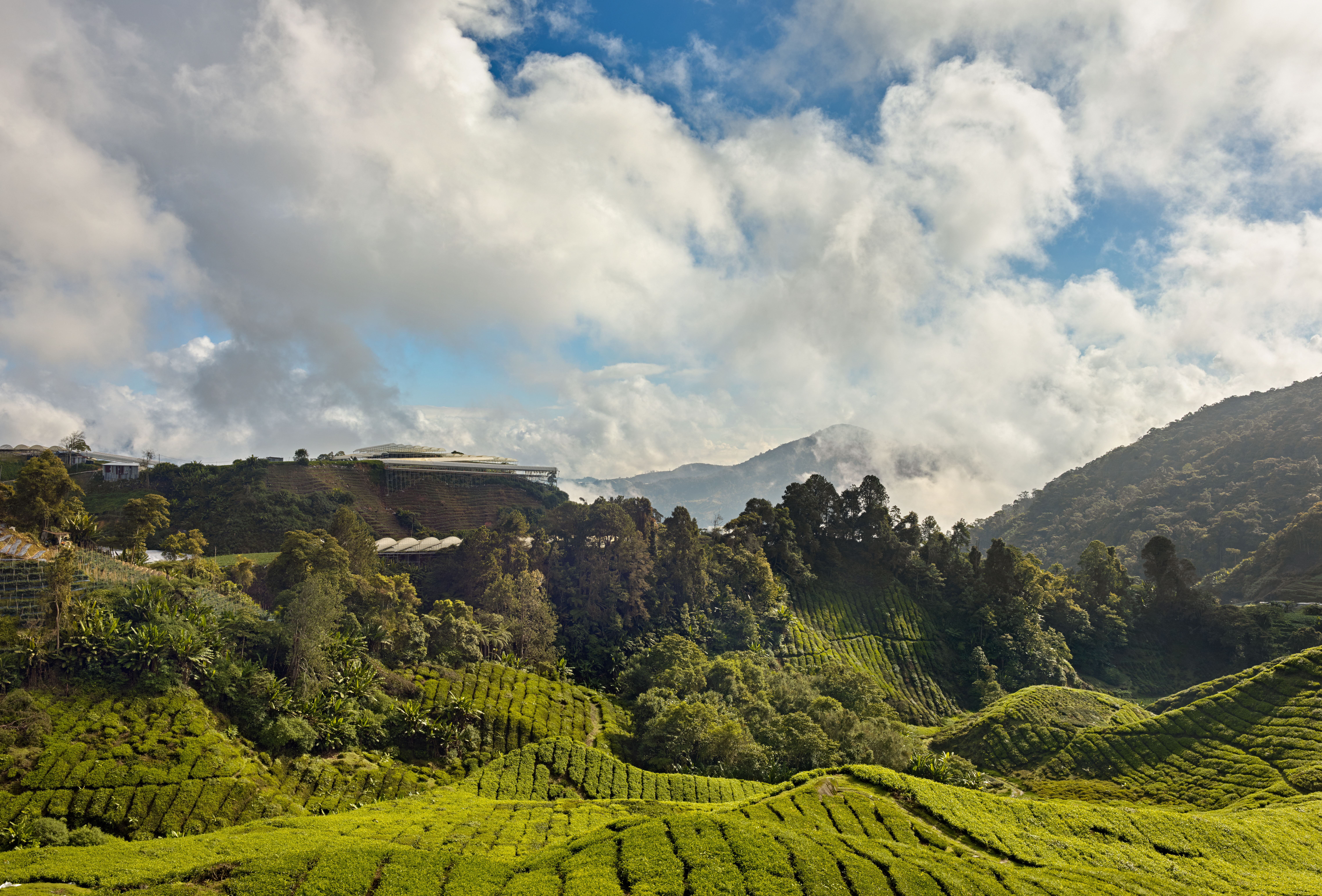 Wereldmilieudag – herstel van ecosystemen