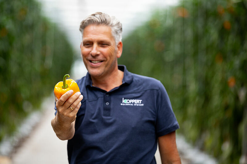 Arno_Moerman_Koppert_Biological_Systems-21.jpg
