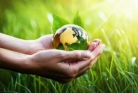 Bij Koppert is het elke dag Earth Day