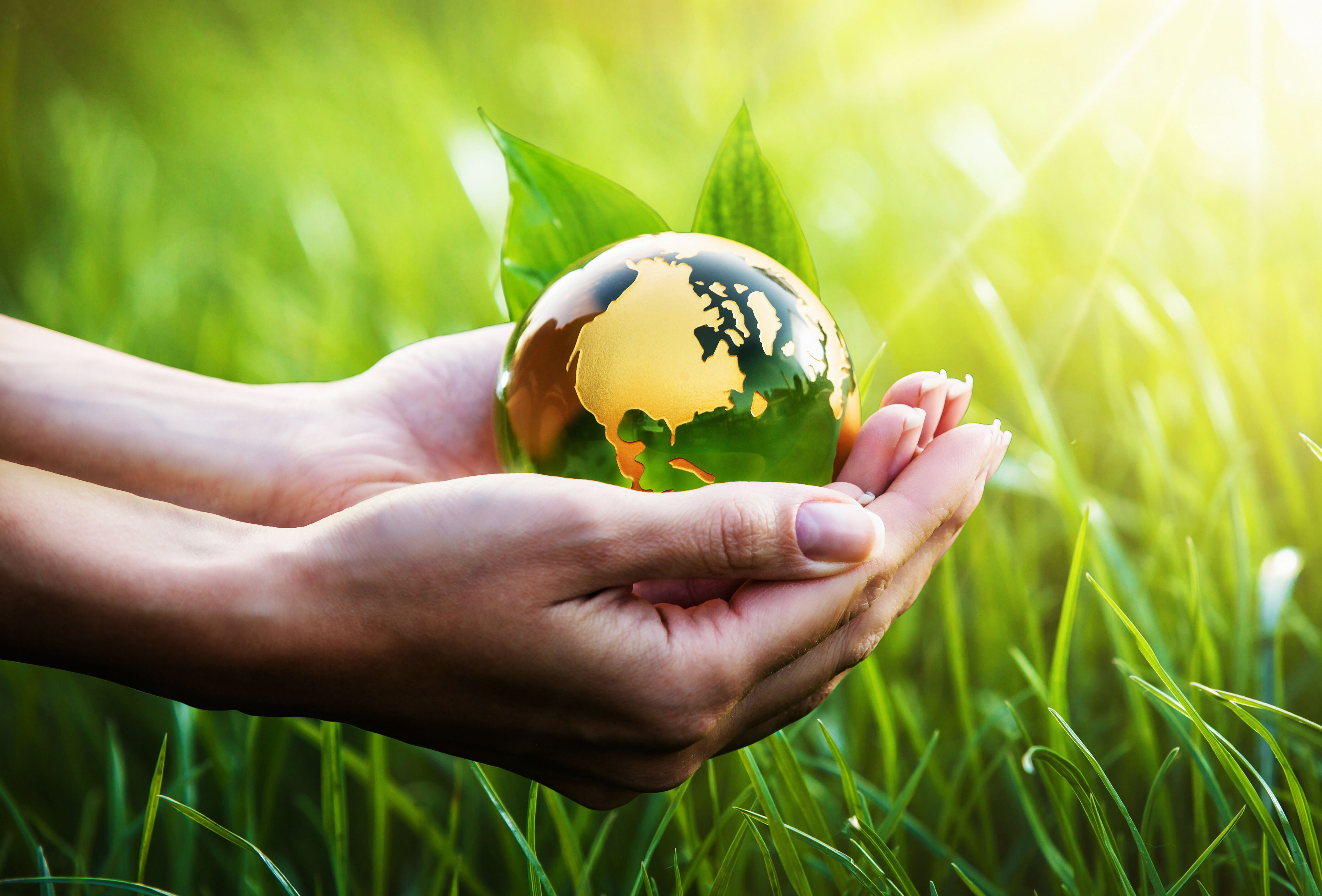 Bij Koppert is het elke dag Earth Day