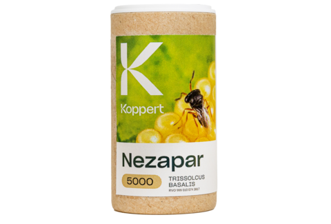 Nezapar - Een veilige en natuurlijke oplossing voor destructieve stinkwantsen