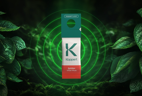 Spidex Vital Plus: effectieve spintbestrijding in een zakje