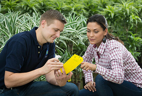 De voordelen van geïntegreerde gewasbescherming