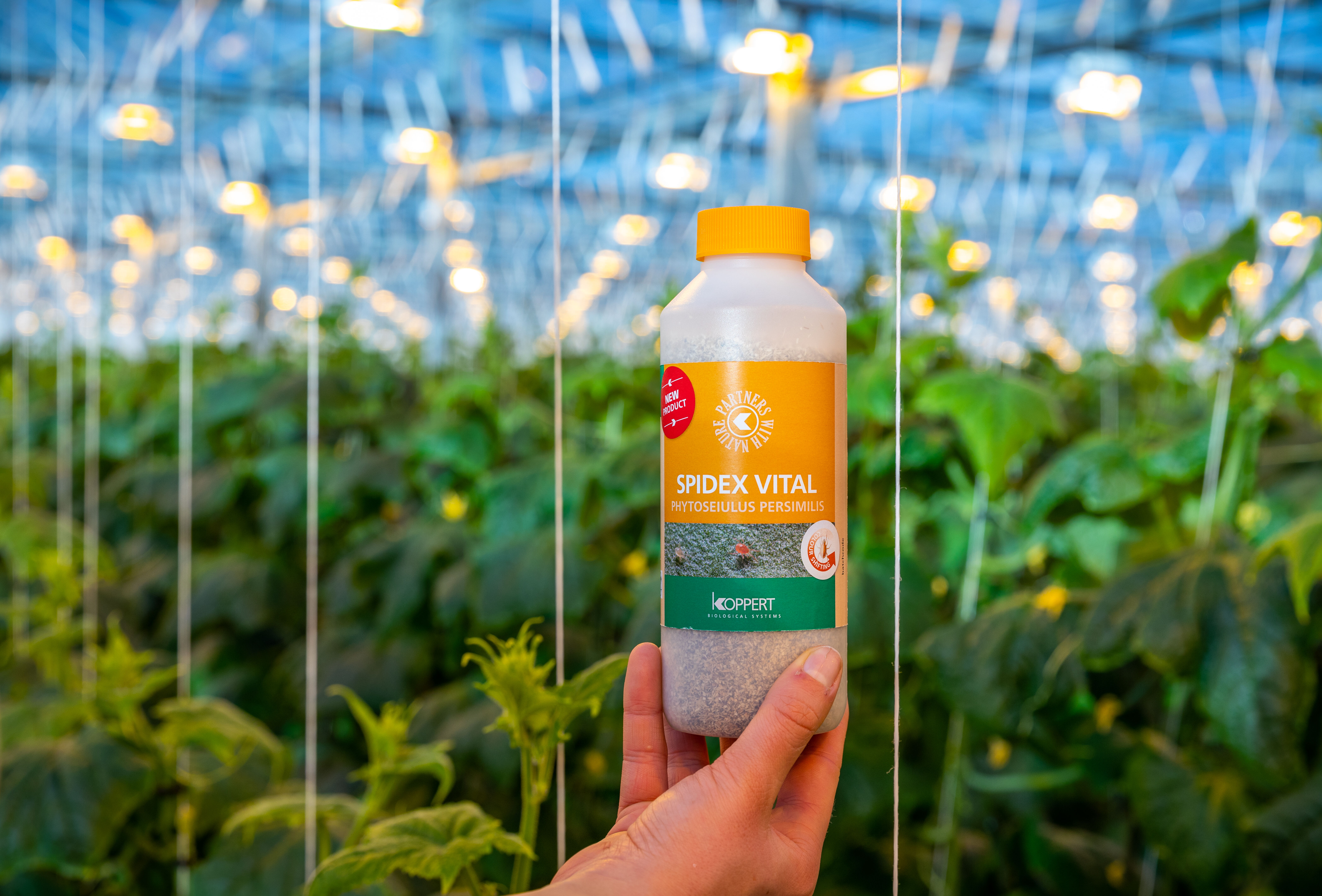 Betere biologische bestrijding van spint met Spidex Vital