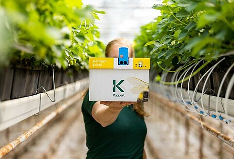 Bestuiving checklist tomaat