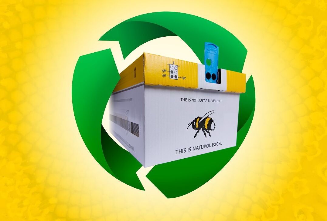 Hommelkasten met een duurzame toekomst