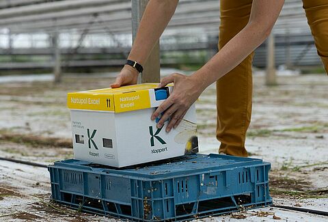 Optimale plaatsing van hommelnestkasten