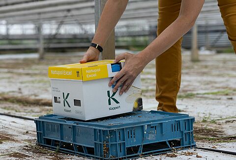 Optimale plaatsing van hommelnestkasten