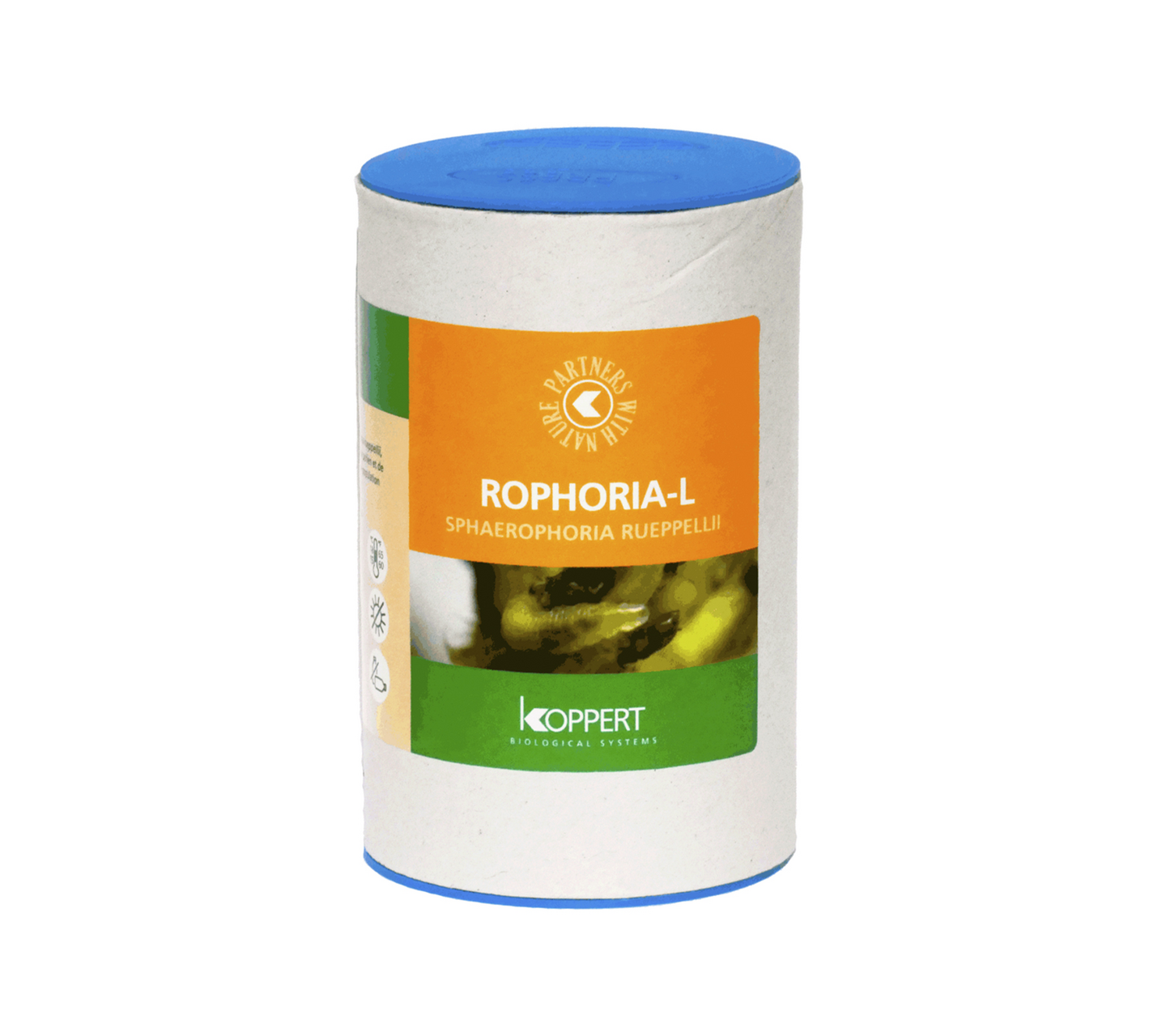 Rophoria-L_fond-blanc2.png