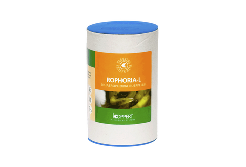 Rophoria Larven