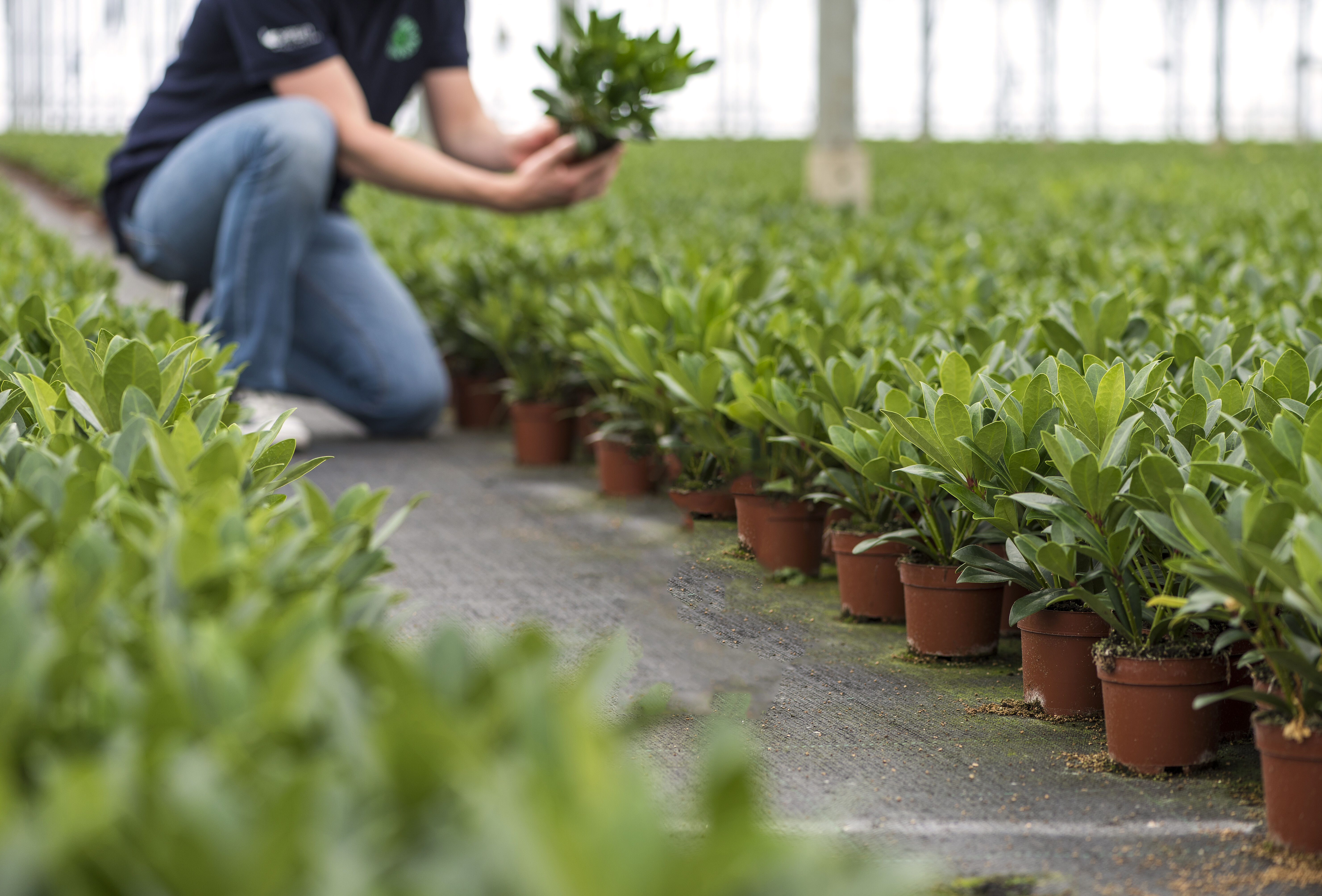 Technisch team breidt uit