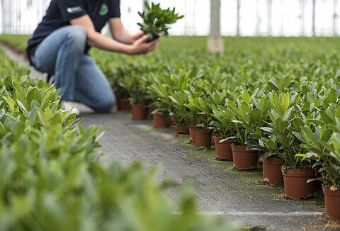 Technisch team breidt uit