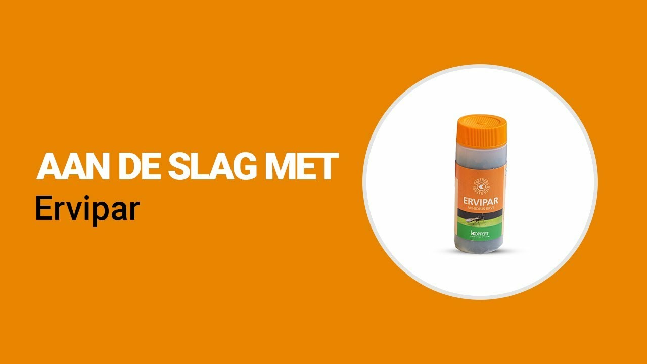 Aan de slag met Ervipar van Koppert