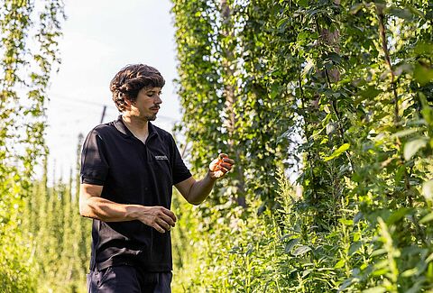 Een duik in biologische landbouw en biologische gewasbescherming