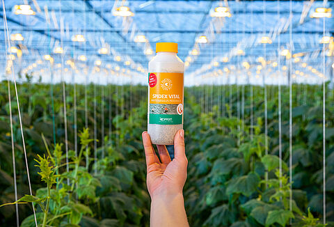 Spidex Vital: uw vitale partner in spintbestrijding