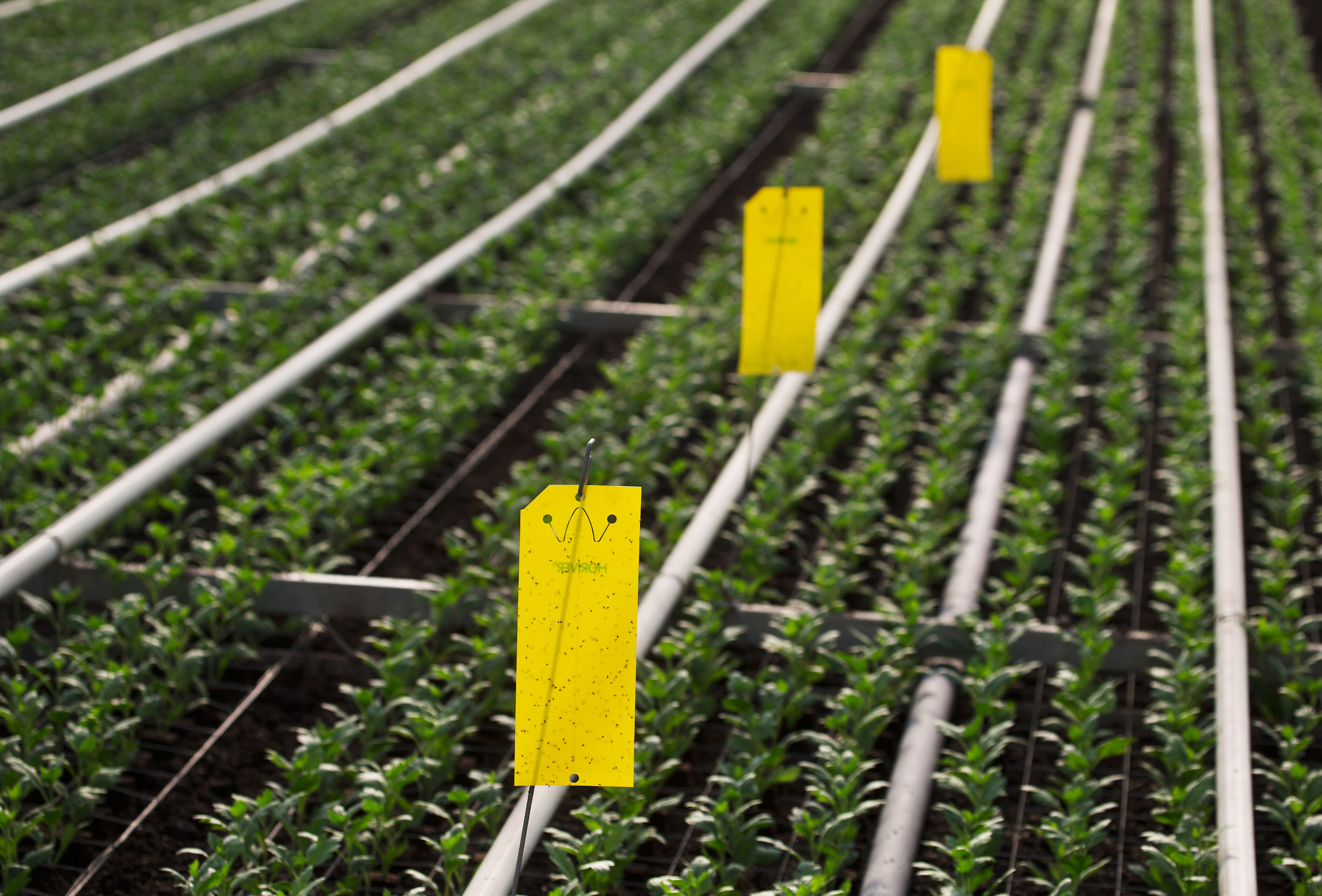 Start schoon en tijdig