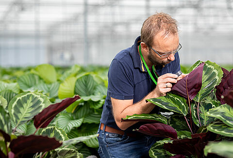 Geen planten weggooien door maximaal biologische inzet