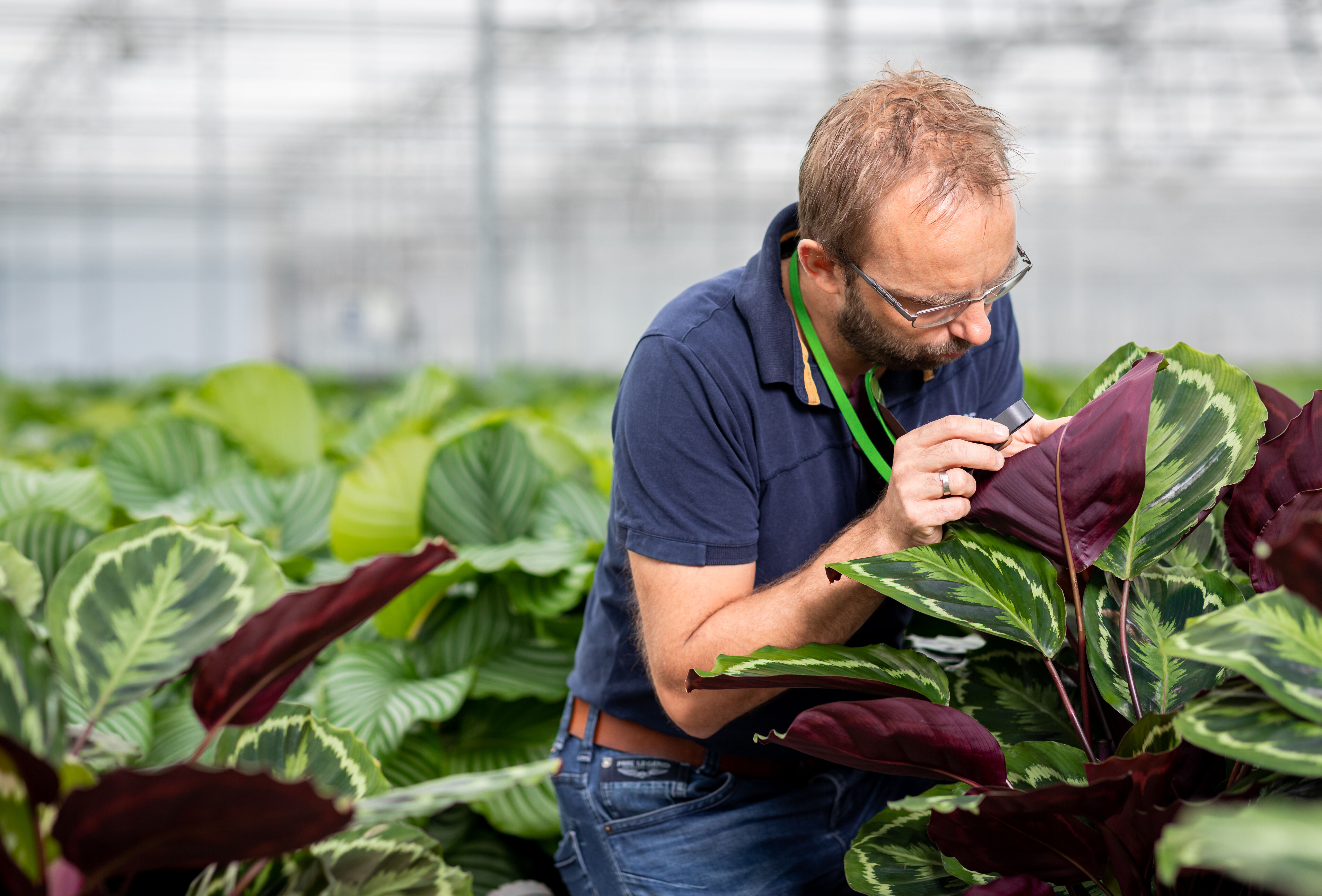Geen planten weggooien door maximaal biologische inzet