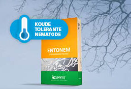 Verlengd seizoen voor biologische bestrijding met nematodenproduct Entonem