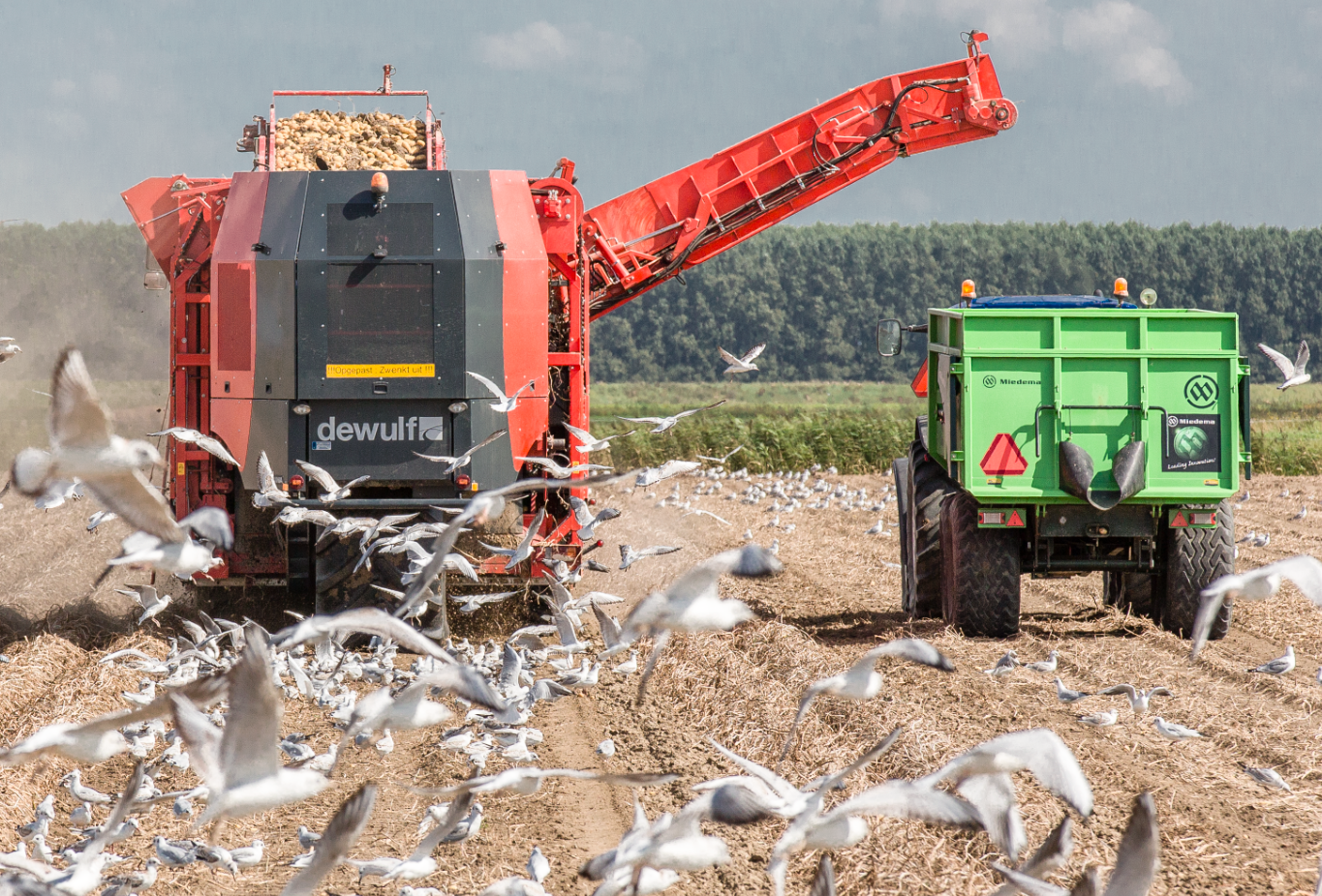 Buitenteelten veranderen: pionieren in een enorme groeimarkt