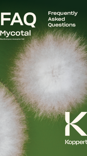 Mycotal FAQ