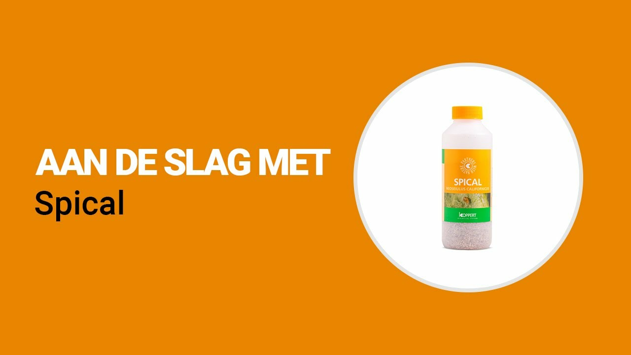 Aan de slag met Spical van Koppert