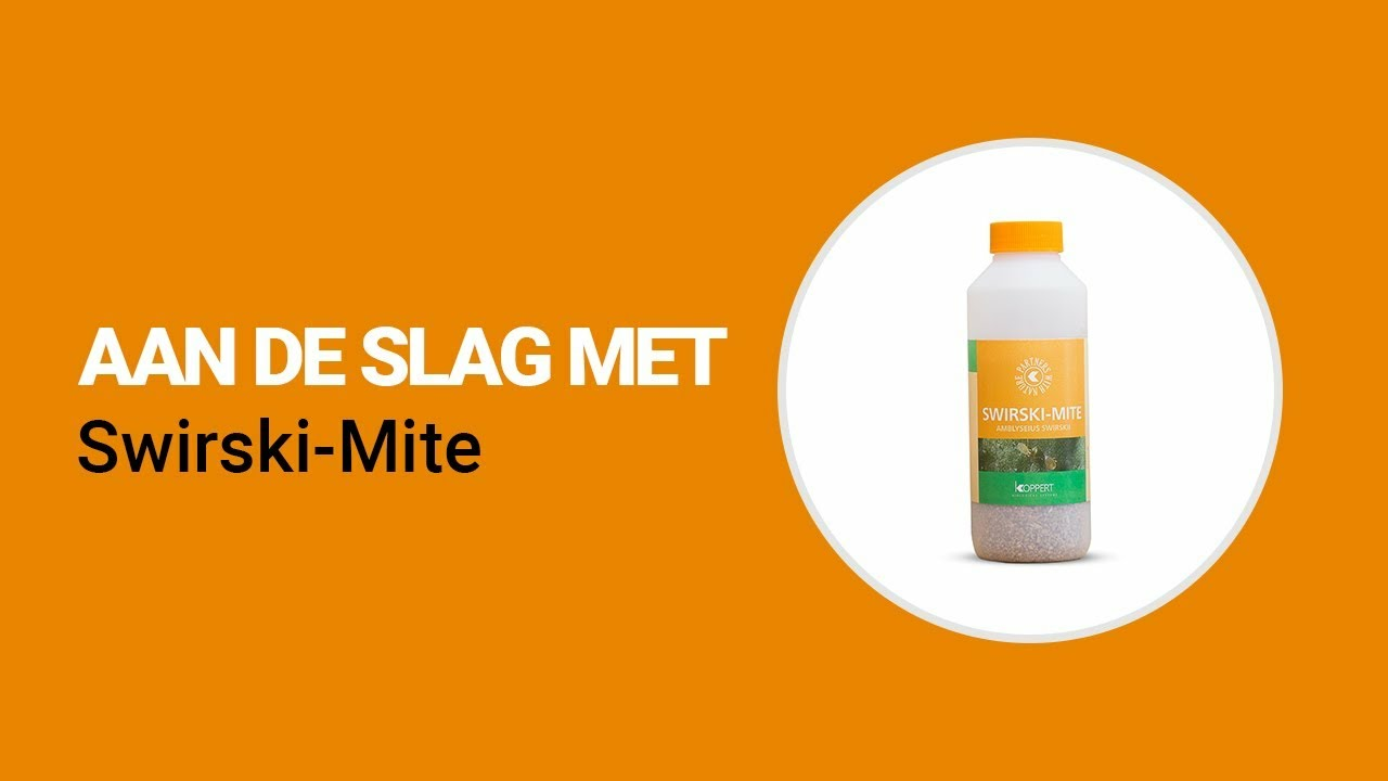 Aan de slag met Swirski-Mite van Koppert