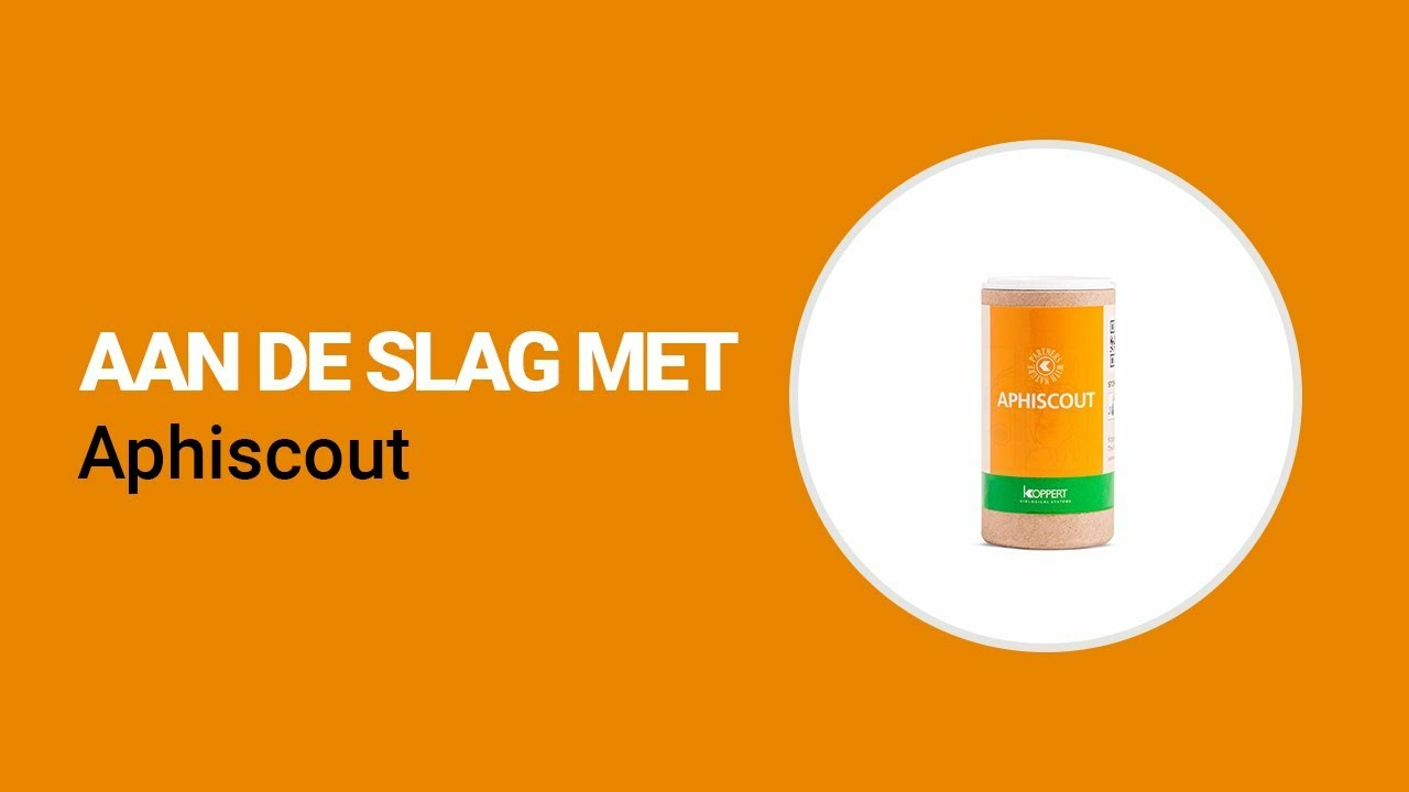 Aan de slag met Aphiscout van Koppert Aan de slag met Aphiscout van Koppert