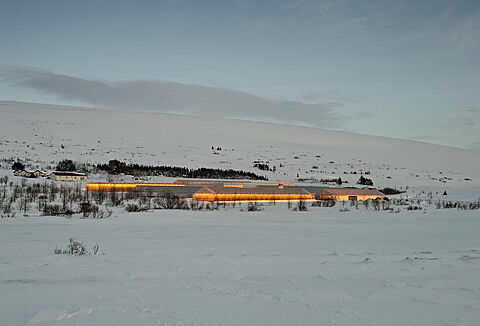 Advies over bestuiving van belichte gewassen