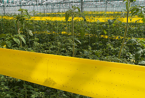 APT heeft de teler heel veel nieuws te bieden