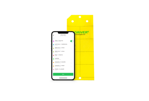 Monitoring & Scouting