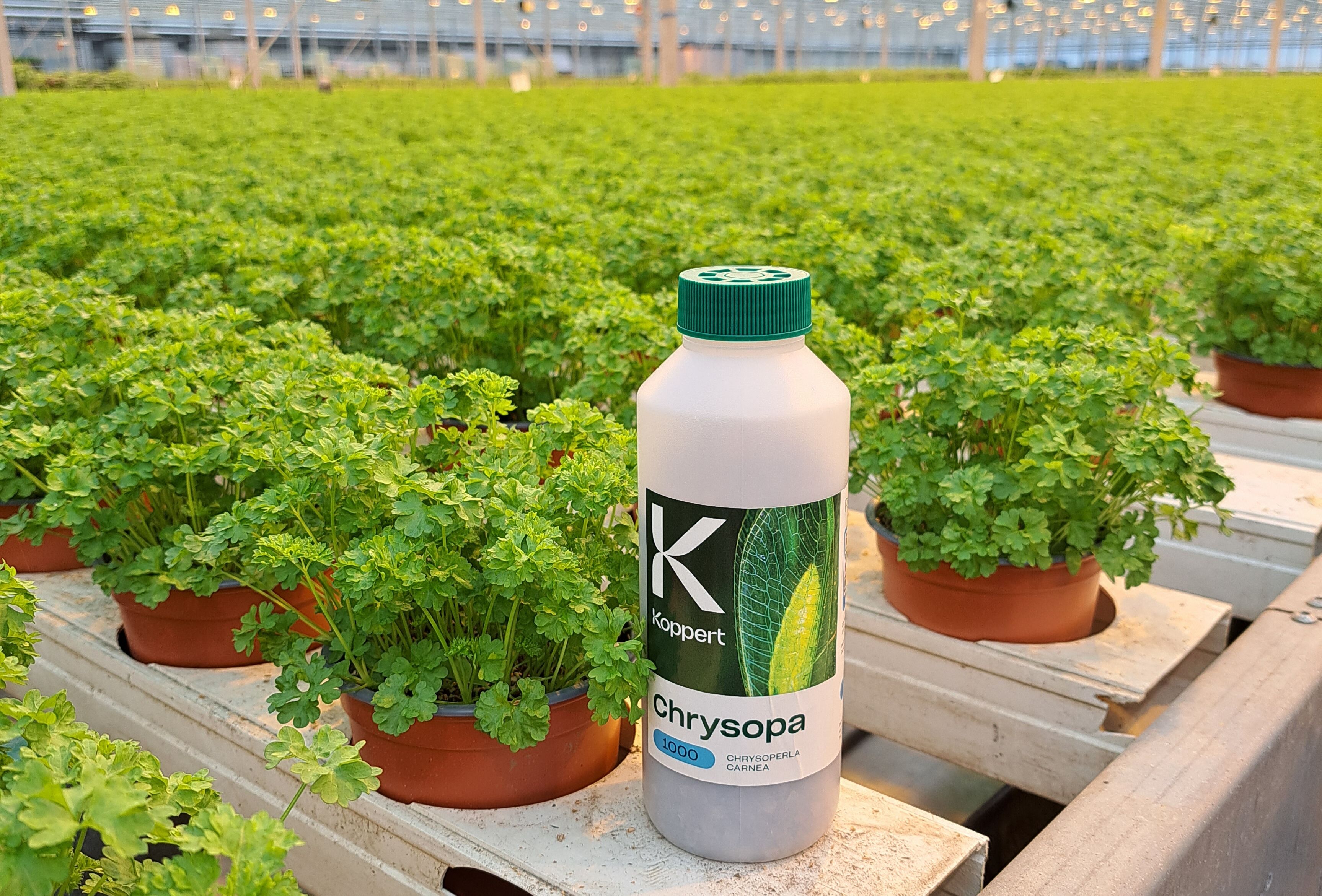 Geïnspireerd door de natuur: nieuw design, dezelfde vertrouwde kwaliteit