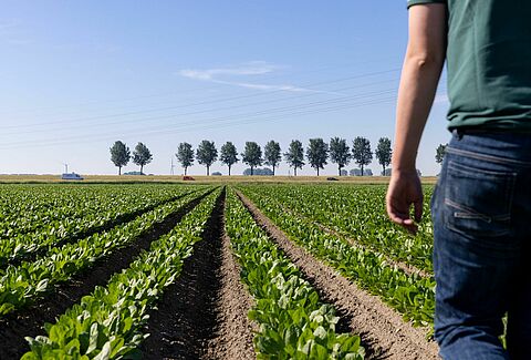 Teler Koen - Biologische gewasbescherming omarmen in de landbouw
