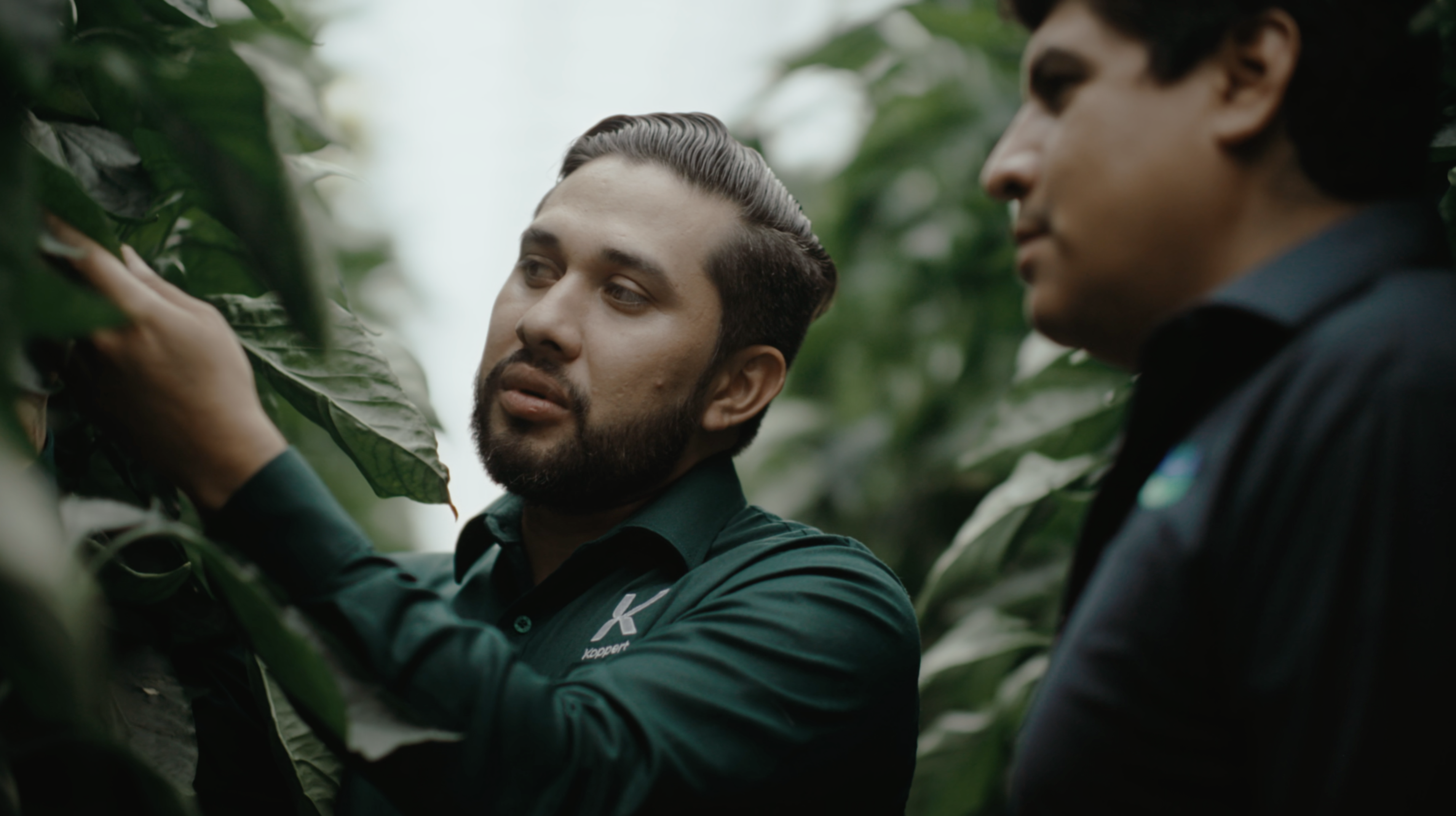 La Hacienda Fresh verhoogt de winstgevendheid van gewassen dankzij biologische bestrijding